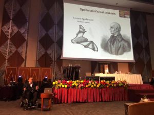 38878213_1078683068962061_7316095082107502592_n